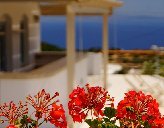 Sifnos Hotel Petali Village exterior view